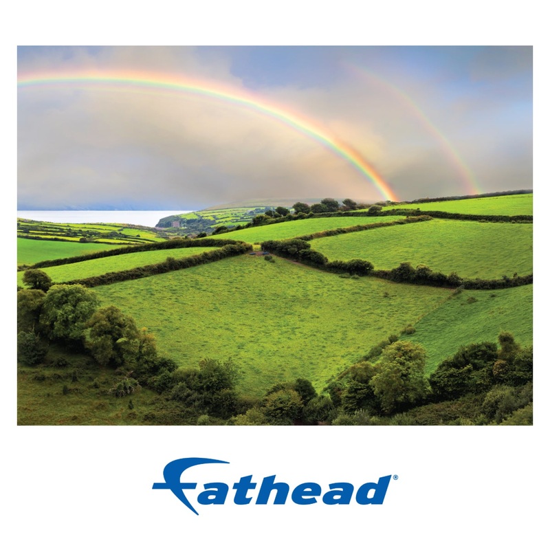 Generic Scenery:  After Storm Poster        –   Removable     Adhesive Decal