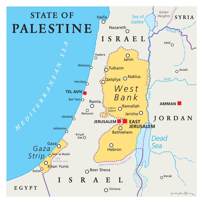 Maps of Asia: Palestine Mural        –   Removable Wall   Adhesive Decal