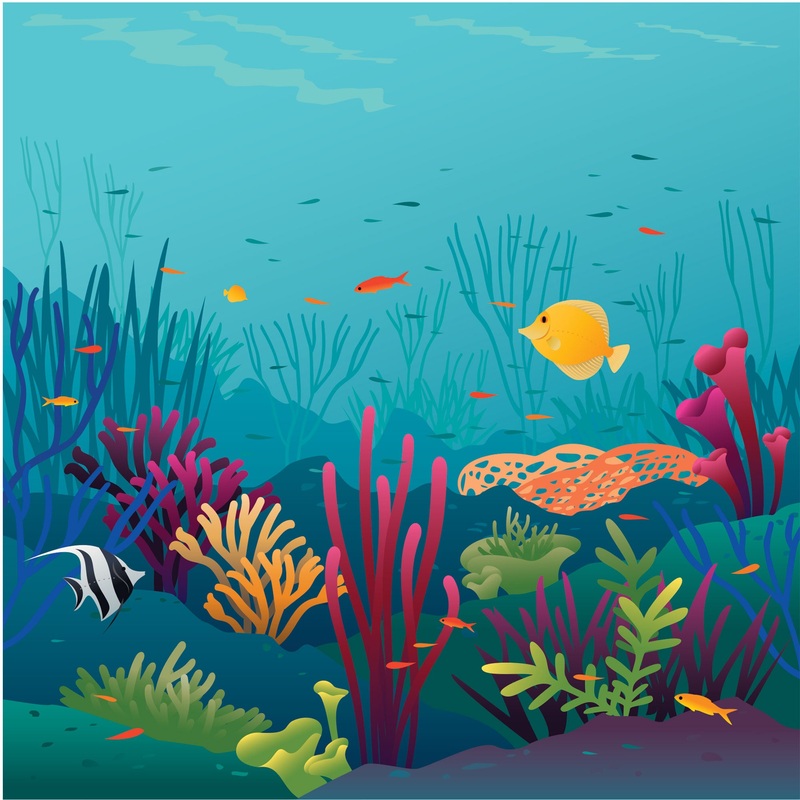 Nursery:  Colorful Ocean Mural        –   Removable Wall   Adhesive Decal