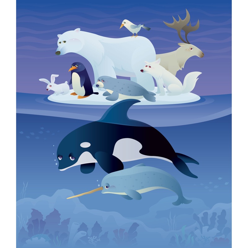 Nursery:  North Pole Mural        –   Removable Wall   Adhesive Decal