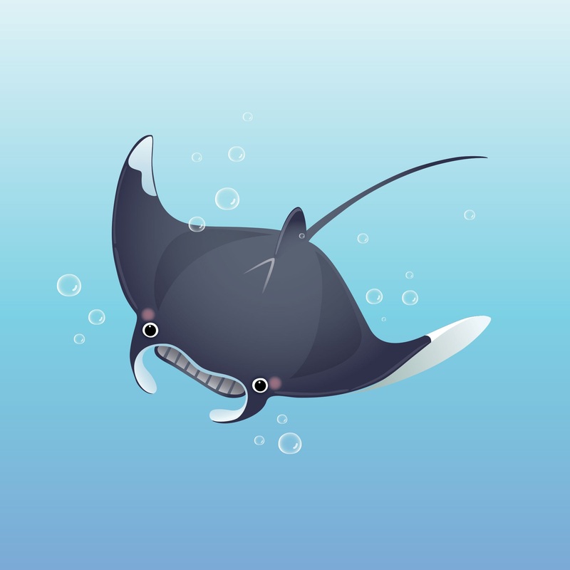 Nursery:  Sea Cat Mural        –   Removable Wall   Adhesive Decal