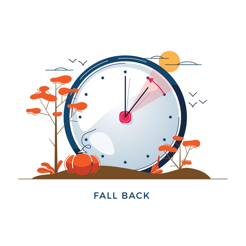Seasons Decor: Autumn Fall Back Mural        –   Removable Wall   Adhesive Decal