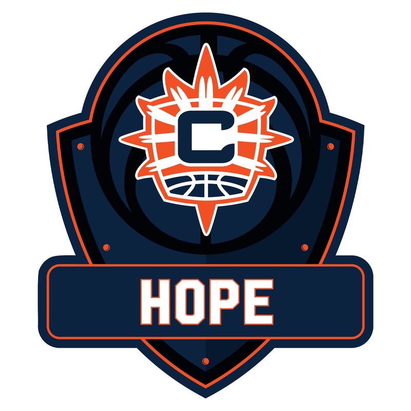 Connecticut Sun – Badge – With Personalized Name – Official WNBA – Vinyl Transfer Decal