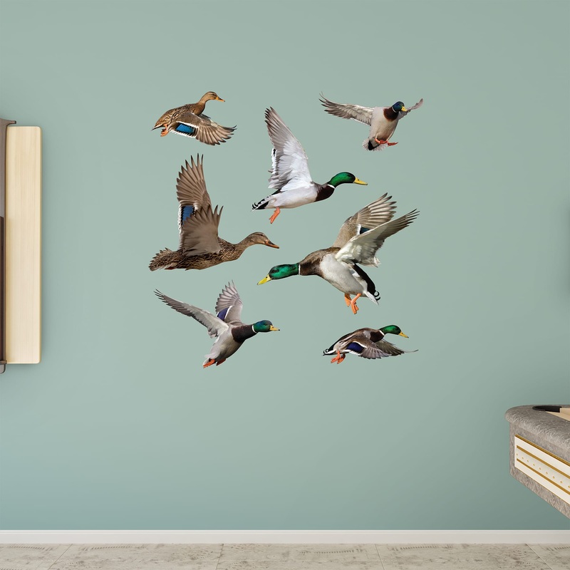 Ducks Collection – Removable Vinyl Decals