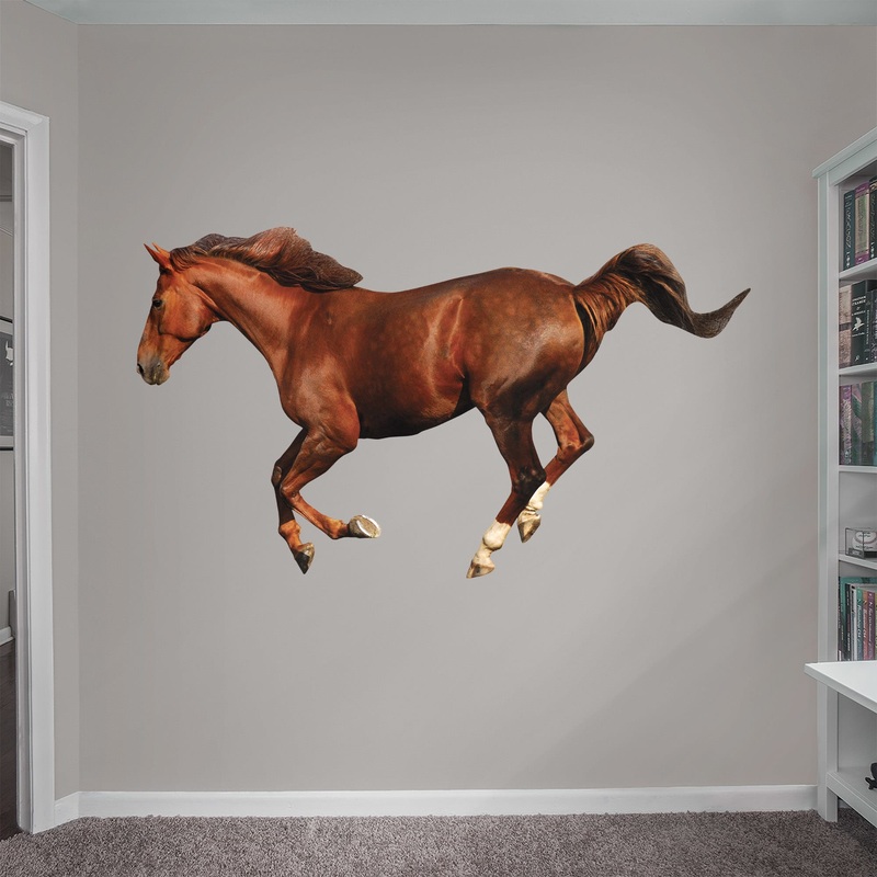 Horse – Removable Vinyl Decal|MEDIUM  + 2 Decals (51W x 35H)|LARGE (Life-Size)  + 5 Decals (78W x 52H)|SMALL + 2 Decals (17W x 12H)