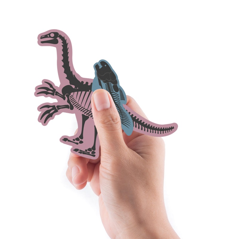Sheet of 5 -Dinosaur: Dinosaur Skeleton Vol 2 Minis        –   Removable    Adhesive Decal