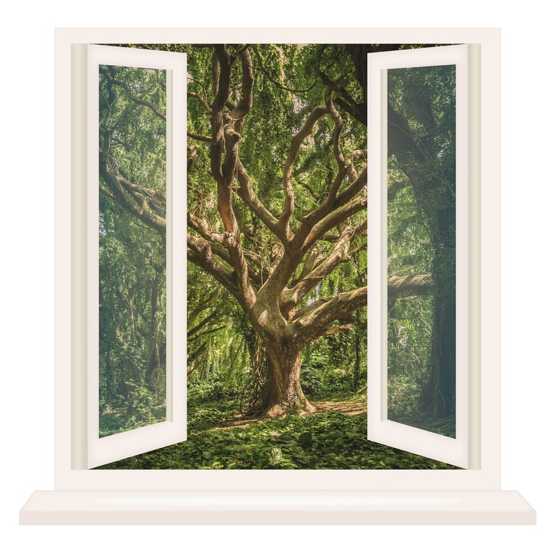 Home Decor:  Instant Window Tree        –   Removable Wall   Adhesive Decal