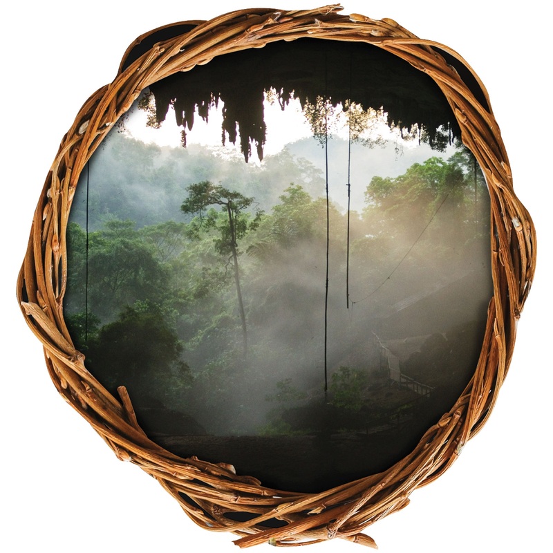 Home Decor:  Jungle Into the Cave        –   Removable Wall   Adhesive Decal