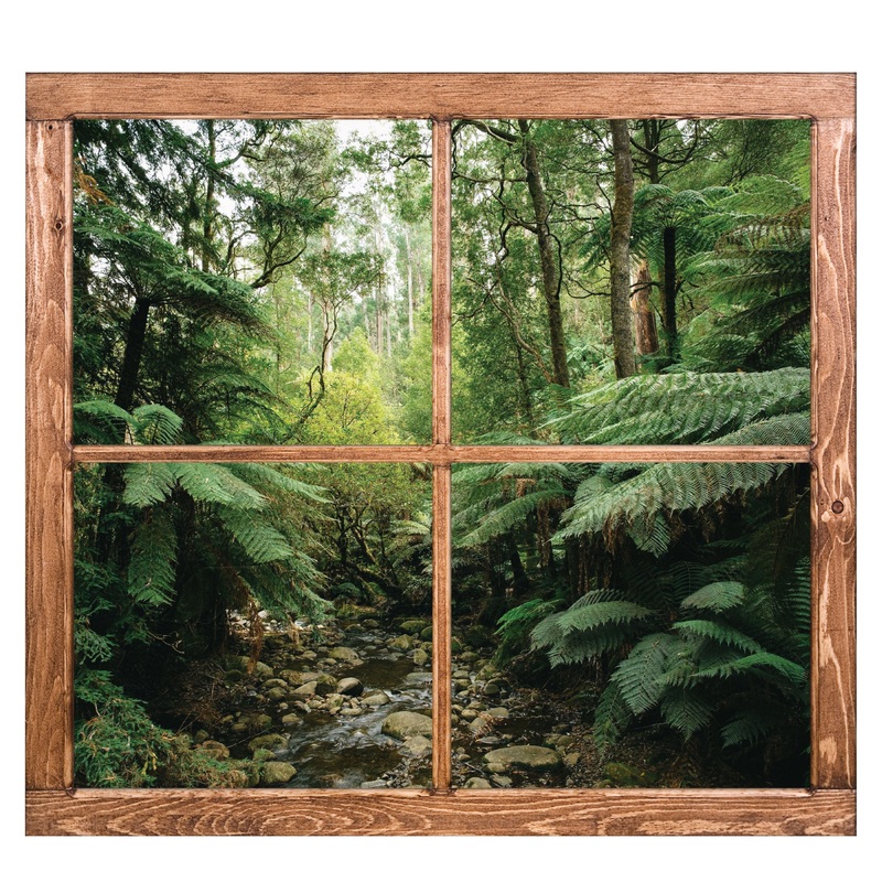 Home Decor:  Jungle Into the Jungle        –   Removable Wall   Adhesive Decal
