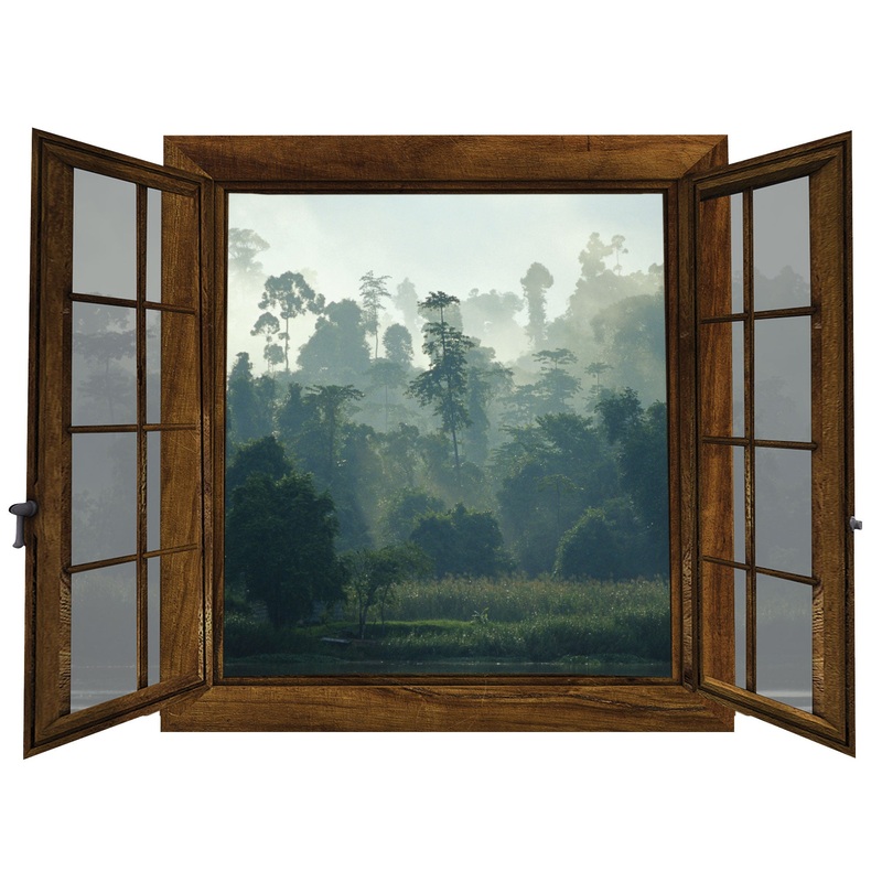 Home Decor:  Jungle Sunny Landscape        –   Removable Wall   Adhesive Decal