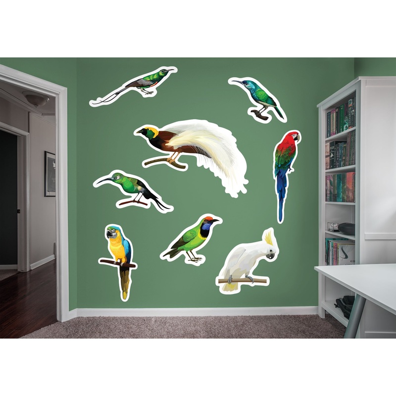 Jungle:  Beauty Collection        –   Removable Wall   Adhesive Decal