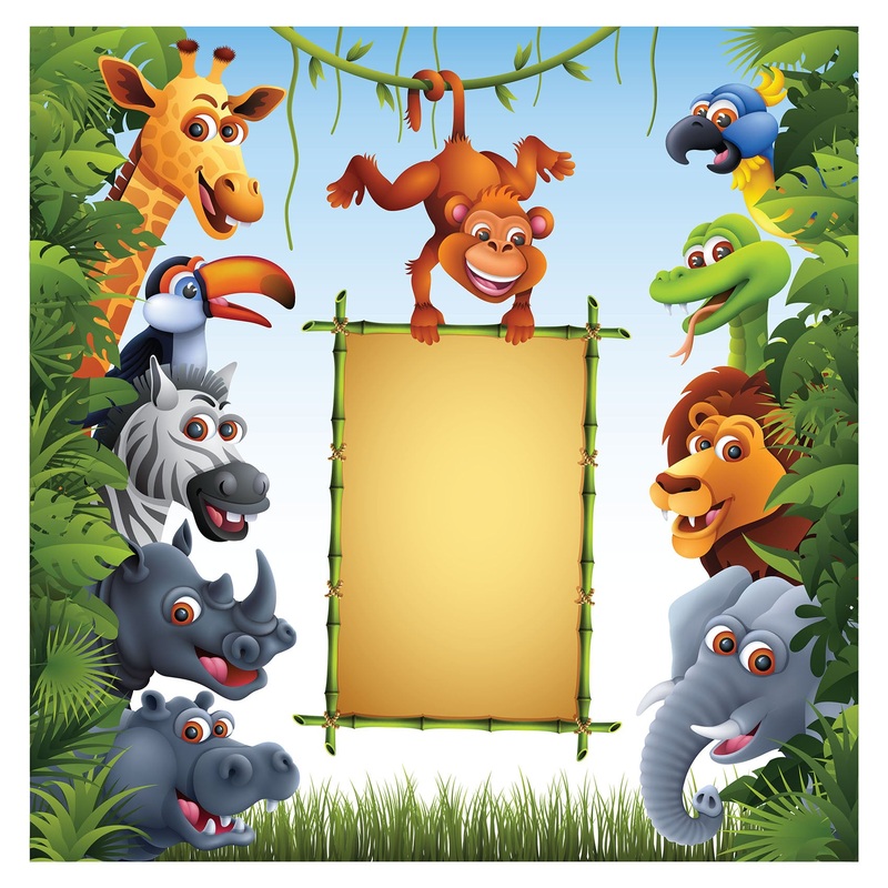 Jungle:  Fuuny Monkey Dry Erase        –   Removable Wall   Adhesive Decal