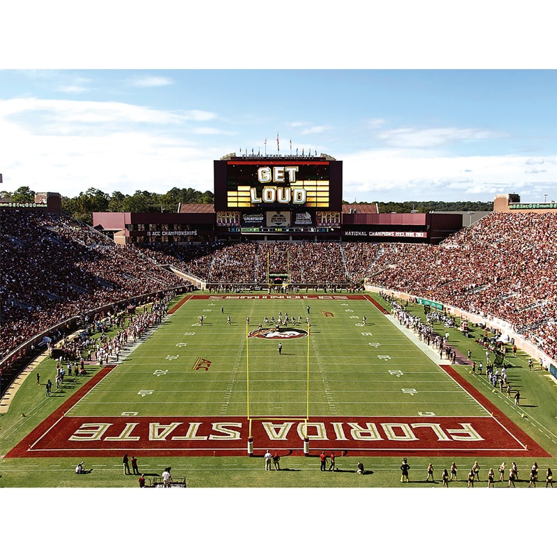 Doak Campbell Stadium Endzone View – Peel & Stick Poster – Official NCAA – Florida State Seminoles – Reusable Vinyl Wall Decal