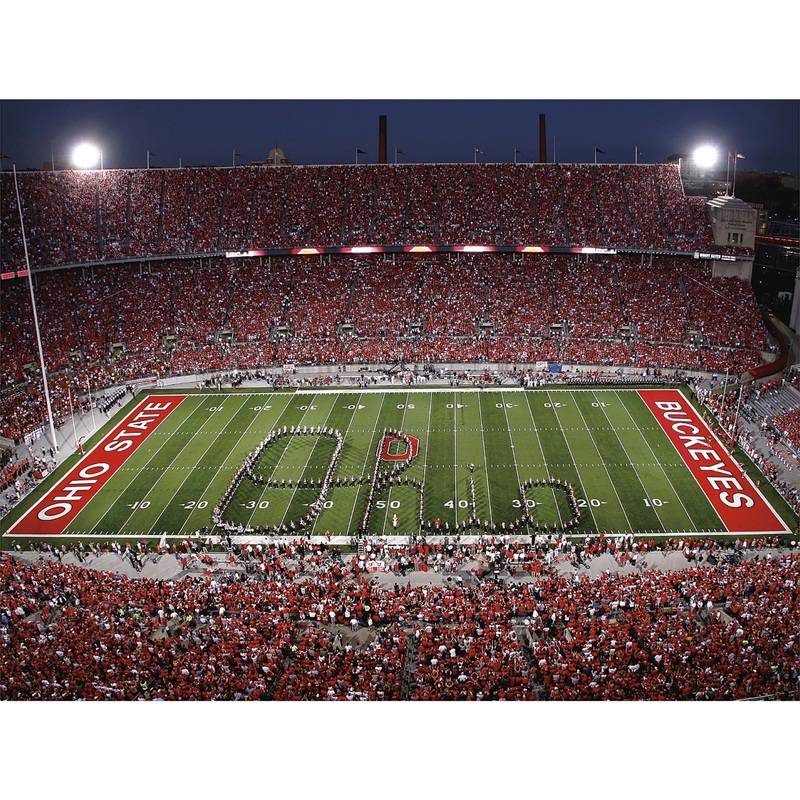 Ohio State Buckeyes – Ohio Script Stadium Mural – Peel & Stick Poster – Official NCAA – Reusable Vinyl Wall Decal