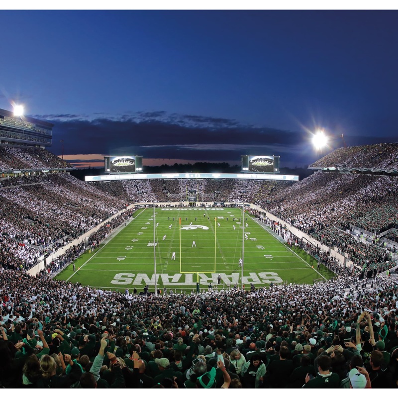 Spartan Stadium Endzone Mural – Peel & Stick Poster – Official NCAA – Michigan State Spartans – Reusable Vinyl Wall Decal