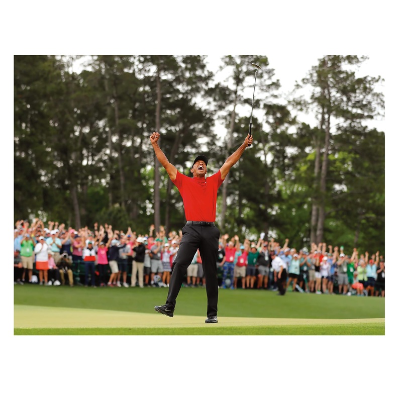 Tiger Woods – Celebration – Peel & Stick Poster – Official Tiger Woods – Reusable Vinyl Wall Decal