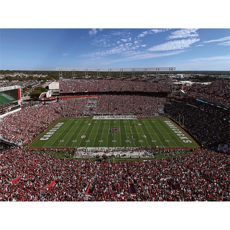 Williams-Brice Stadium – Peel & Stick Poster – Official NCAA – South Carolina Gamecocks – Reusable Vinyl Wall Decal