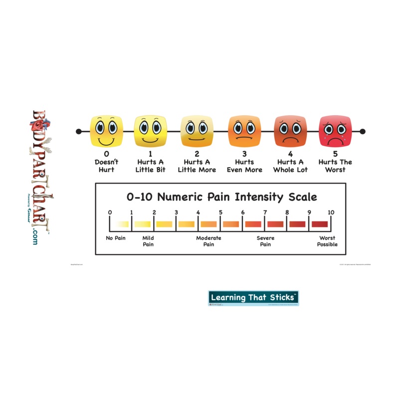 Body Part Chart:  Pain Intensity Scale Sign        –   Removable     Adhesive Decal
