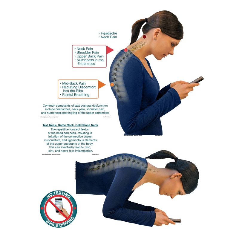 Body Part Chart:  Text Postural Dysfunction        –   Removable     Adhesive Decal