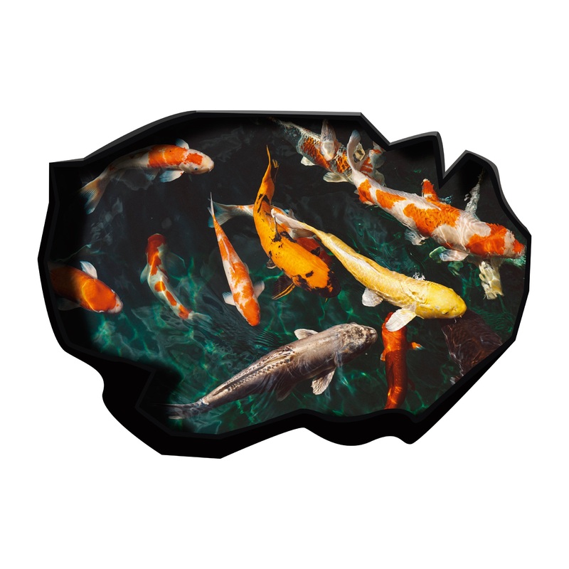 Fish Hole Instant Window        –   Removable     Adhesive Decal
