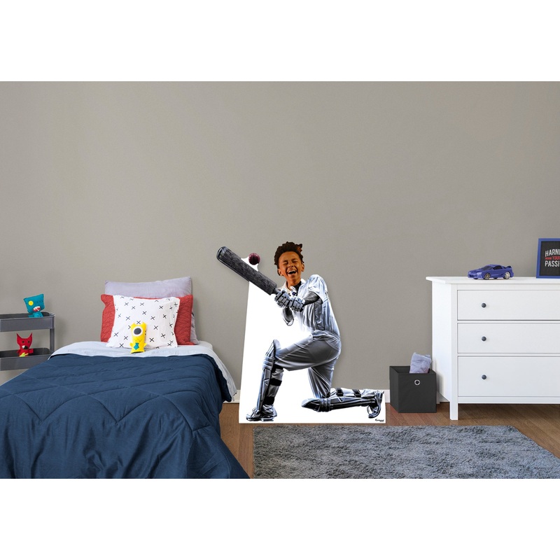 Sports: Cricket Stand In Life-Size Foam Core Cutout – Stand Out