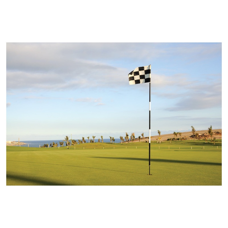 Golf: Palm Trees Poster – Removable Adhesive Decal
