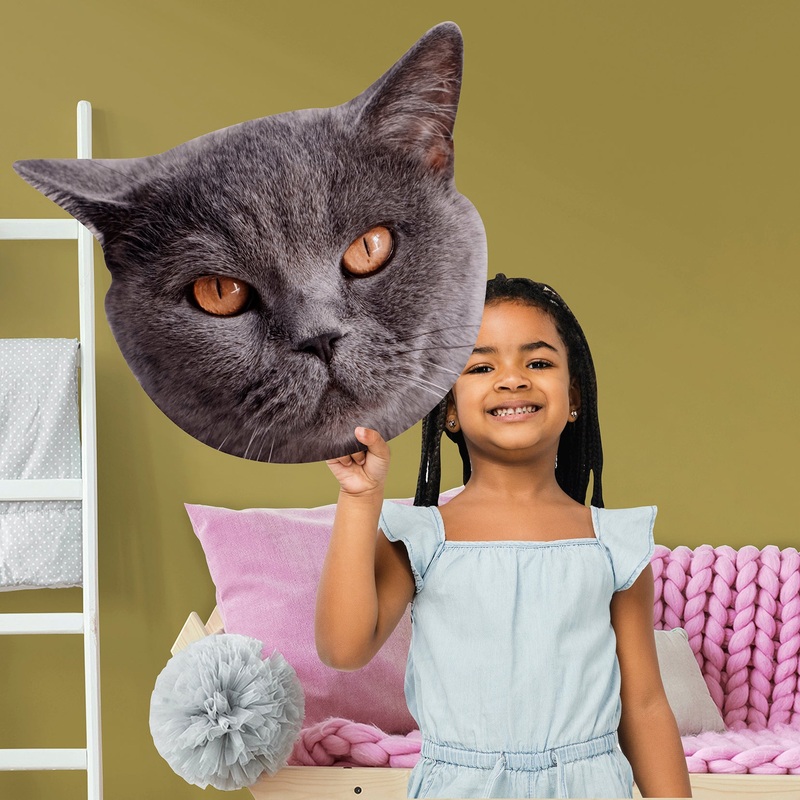 Animals: British Shorthair Cat Foam Core Cutout – Big Head