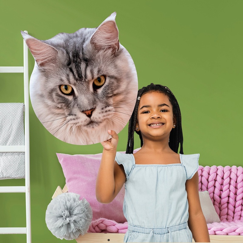 Animals: Maine Coon Cat Foam Core Cutout – Big Head