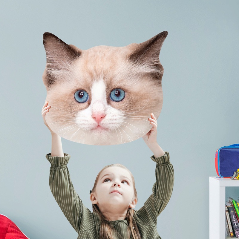 Animals: Ragdoll Cat Foam Core Cutout – Big Head
