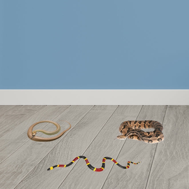 Pranks: Prank Snakes Collection – Removable Adhesive Decal