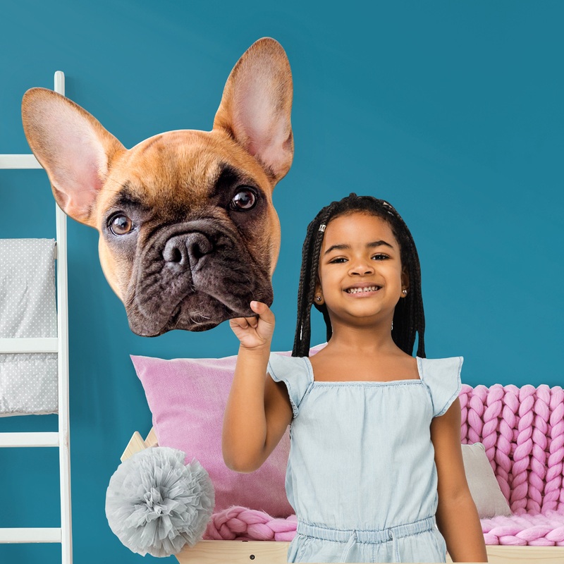 Animals: French Bulldog Foam Core Cutout – Big Head