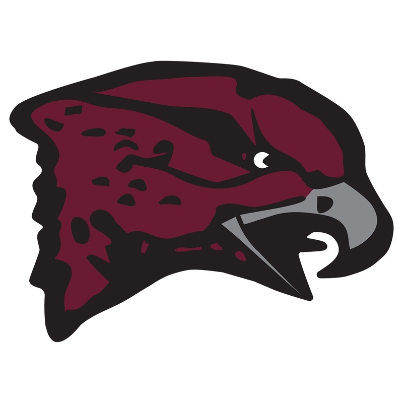 Maryland Eastern Shore Hawks – Logo – Outdoor Wall Decals – Official NCAA – Scratch Resistant Alumigraphics Smooth