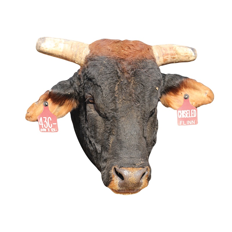 PBR:  Chiseled   Foam Core Cutout  – Officially Licensed Pro Bull Riding    Big Head