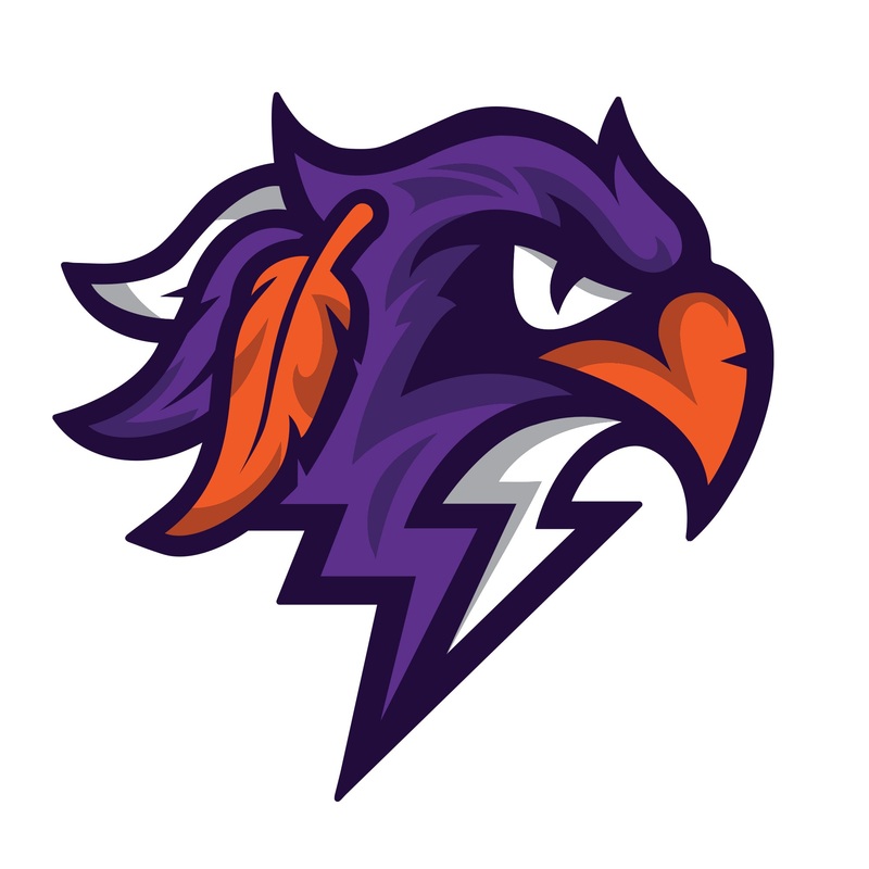 Halifax Thunderbirds:   Logo        – Officially Licensed NLL Removable     Adhesive Decal