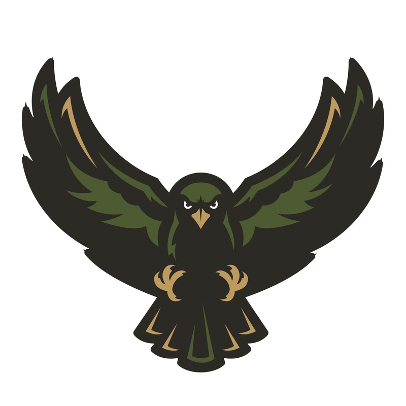 Rochester Knighthawks:   Logo        – Officially Licensed NLL Removable     Adhesive Decal