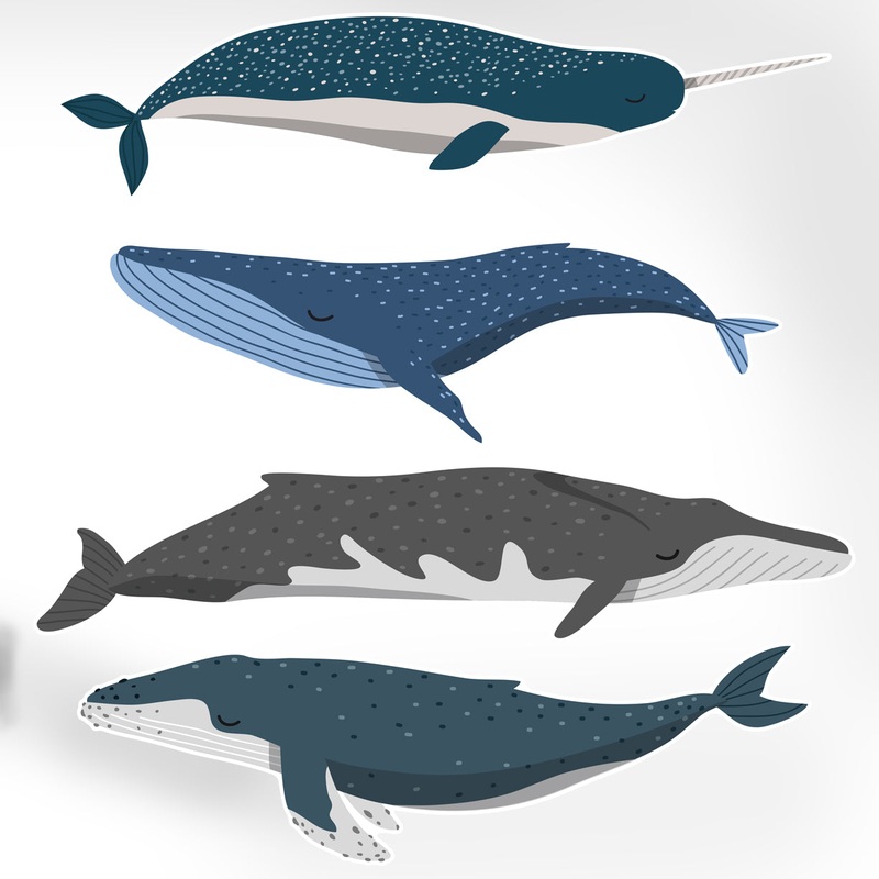 Nursery:  Whales Collection        –   Removable Wall   Adhesive Decal