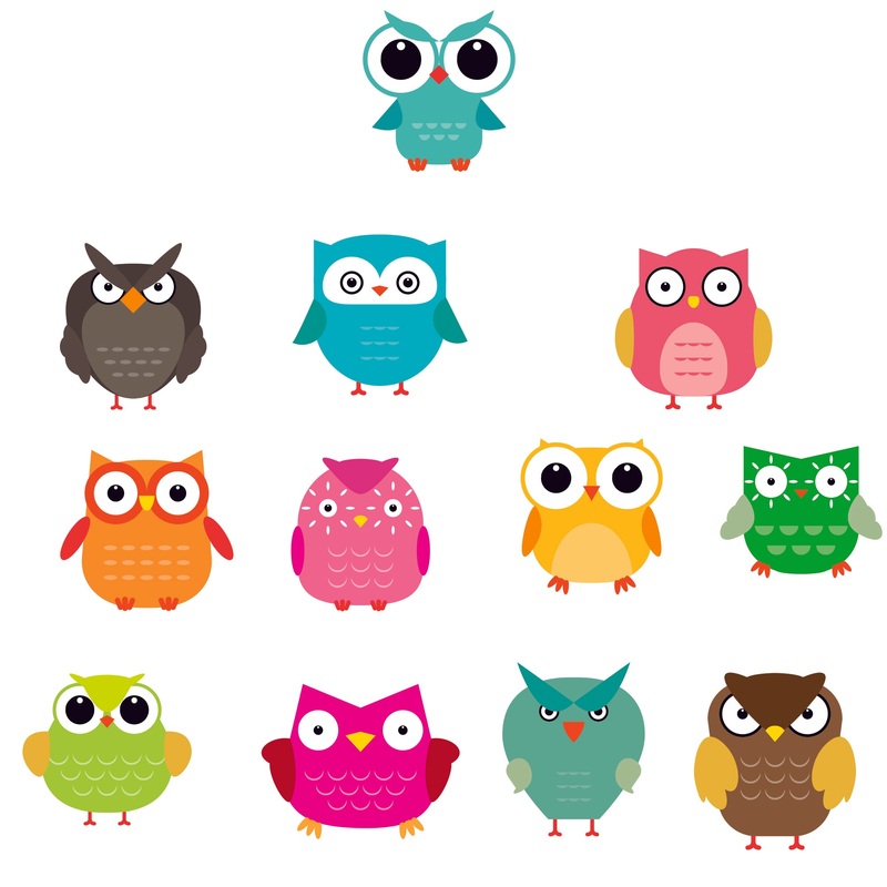 Nursery: Owl Color Block Collection        –   Removable Wall   Adhesive Decal