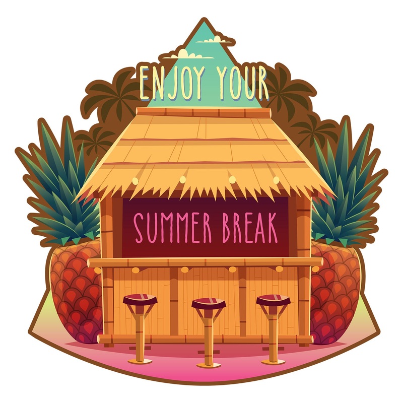 Seasons Decor: Summer Enjoy your Summer Break Icon        –   Removable     Adhesive Decal