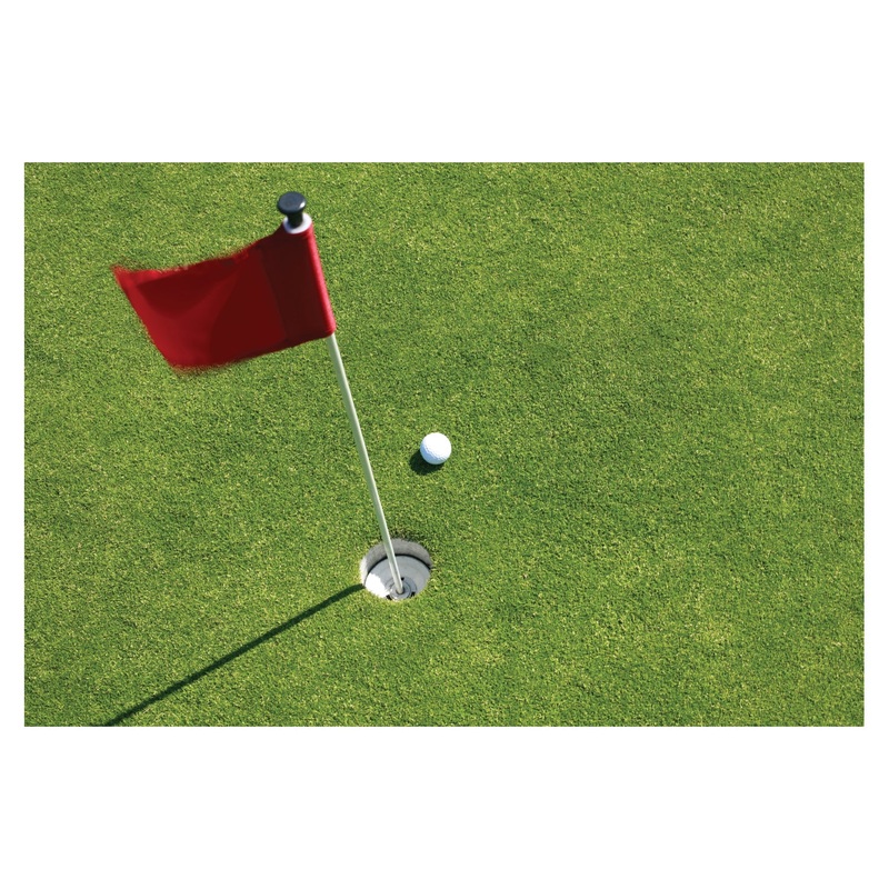 Golf: Ball Poster        –   Removable     Adhesive Decal