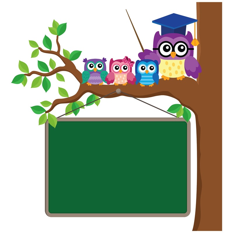 Nursery: Owl Tree Dry Erase        –   Removable Wall   Adhesive Decal