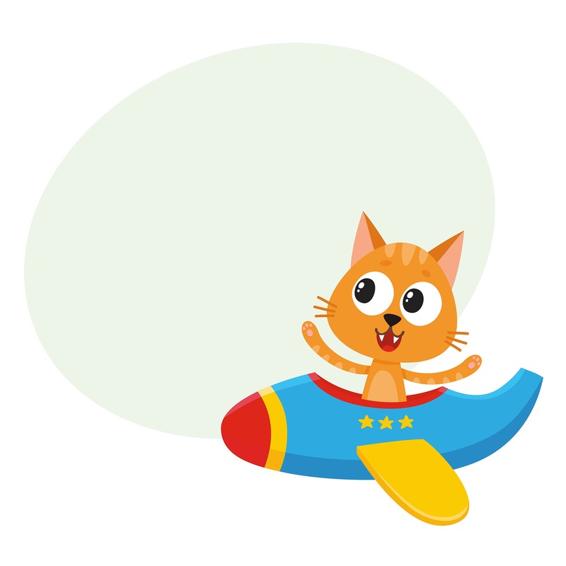 Nursery: Planes Cat Dry Erase        –   Removable Wall   Adhesive Decal