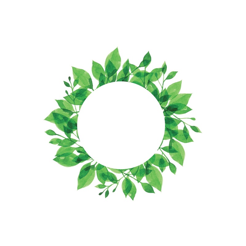 Seasons Decor: Seasons Decor Spring Green Leaves Dry Erase        –   Removable Wall   Adhesive Decal