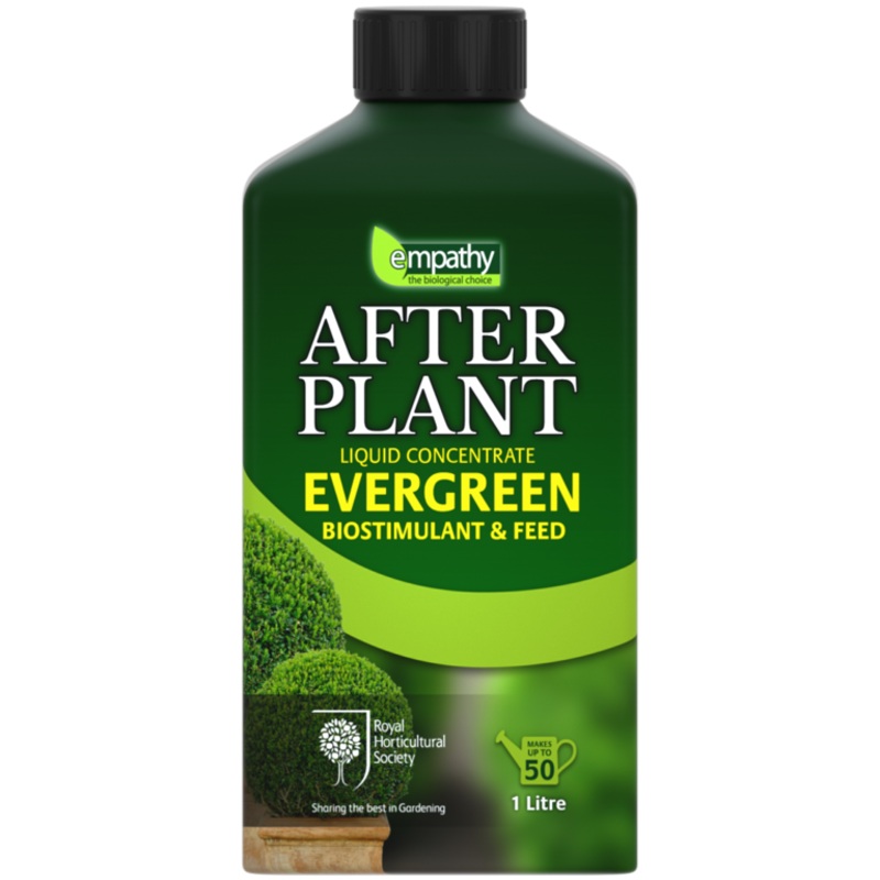 Empathy After Plant Evergreens