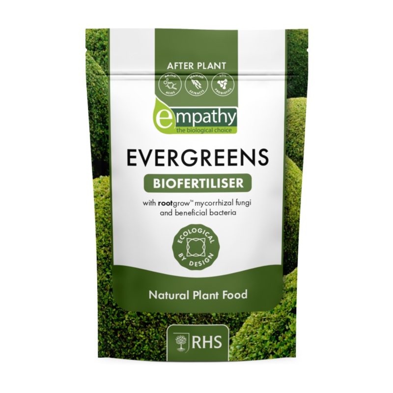 Empathy After Plant Evergreens With Rootgrow