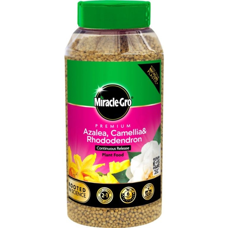 Miracle-Gro Azalea, Camellia & Rhododendron Continuous Release Plant Food