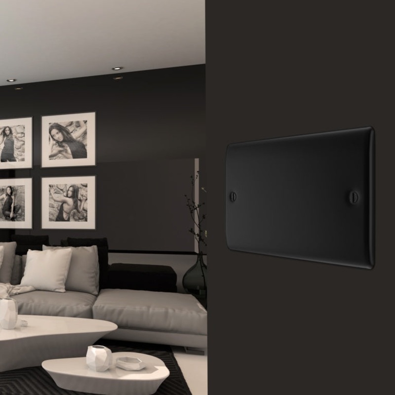 BG Double Blank Plate|Matt Black