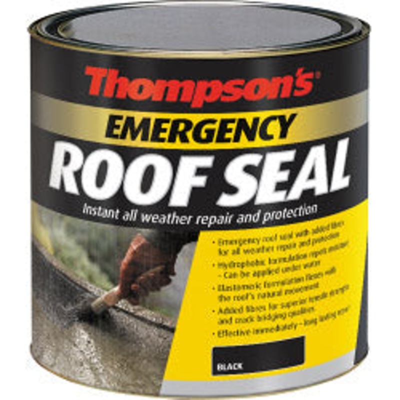 Thompson’s Emergency Roof Seal