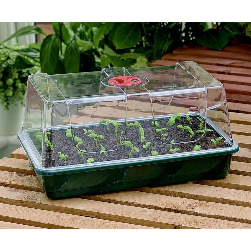 Garland High Dome Propagator|Large