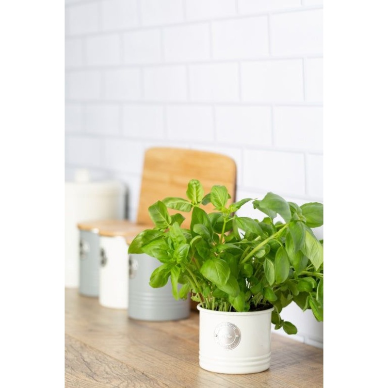 Typhoon Living Herb Planter|Cream|Grey