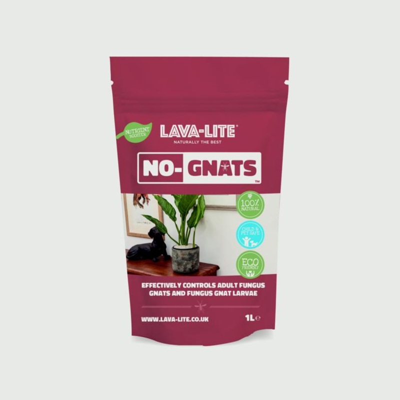 LAVA-LITE No Gnats Fungus Control